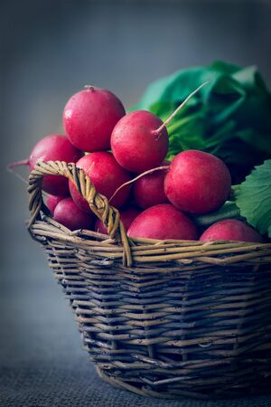 red radish in a wicker basketの写真素材
