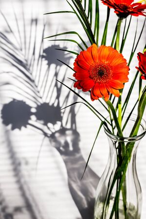 Orange flower in a vaseの写真素材