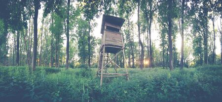 hunting forest lookout tower in the leafy woods-panoramaの写真素材