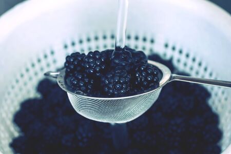 blackberries washing the sieve under running waterの写真素材