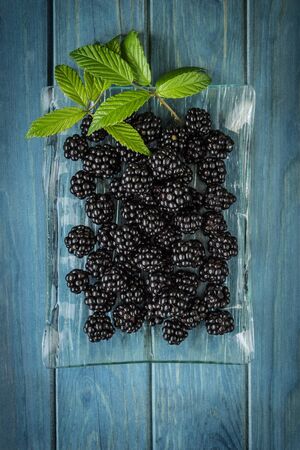 glass plate with blackberries and green leaves on a blue backgroundの写真素材