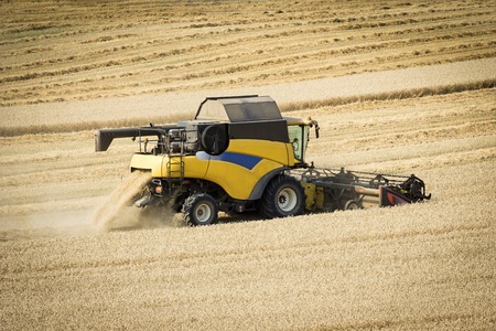 harvester in a wheat fieldの写真素材