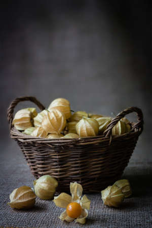 gooseberry in a wicker basketの写真素材