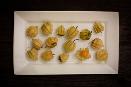 gooseberry on a white plateの写真素材