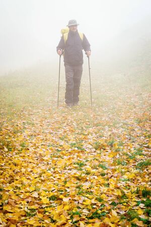 tourist on a trip in the autumn mistの写真素材