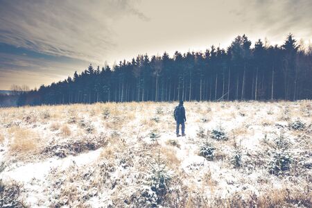 winter walk snow white forestの写真素材