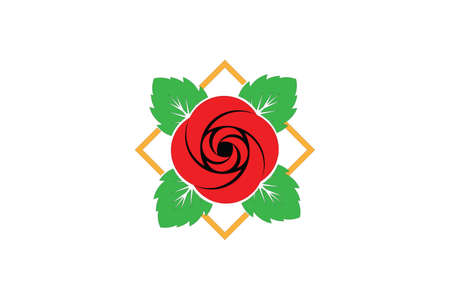 a red flower with green leaves inside a square gold frame.のイラスト素材