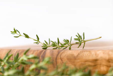 fresh thyme branch in a cooking sceneryの写真素材