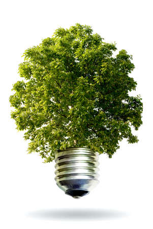 ecological ideaの写真素材