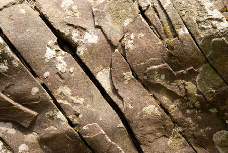 detail of rifted rock with lichens in the underbrushの写真素材