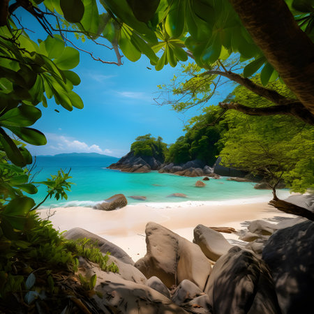 Tropical beach with granite rocks and green leaves. Nature background, ai generatedの素材