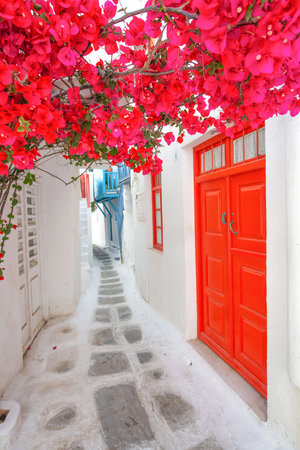 Red door with flowers in Oia village.の写真素材