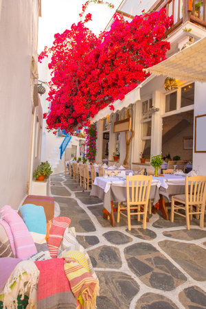 Traditional Greek tavern with red flowers in Mykonos island, Greeceの写真素材