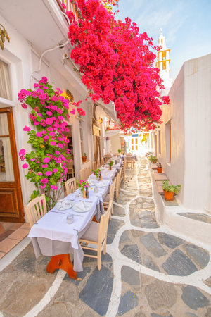 Santorini island, Greece. Picturesque narrow street with blooming bougainvillea flowers in the foregroundの写真素材