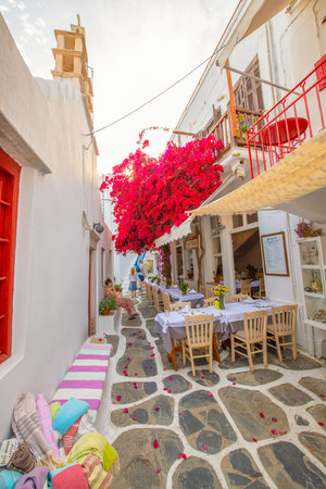 The narrow streets of the picturesque and charming island of Santoriniの写真素材