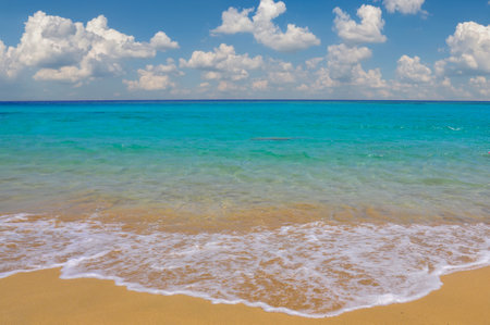 beautiful beach and tropical sea under the blue sky with white clouds