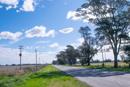 Landscape in Argentina ,Road and treesの写真素材