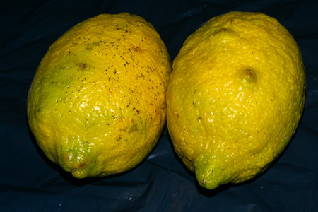 Two lemons on a black background, close-up, macro