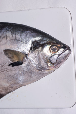 Silverside fish and fins, on a white tray