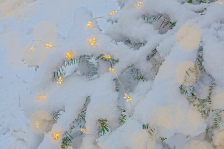 Christmas lights and snowflakes on the decorated fir-tree in winter park