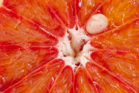 Different kinds of oranges and grapefruit slices backgroundの写真素材