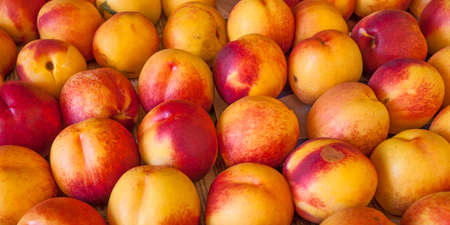 Fresh bright tasty sweet nectarine background from marketの写真素材