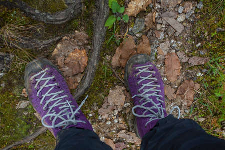 Violet trekking shoes on the nature. Nepal