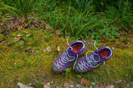 Violet trekking shoes on the nature. Nepal