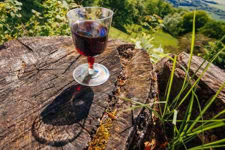 Two glasses of red wine on picnic, nature viewの写真素材