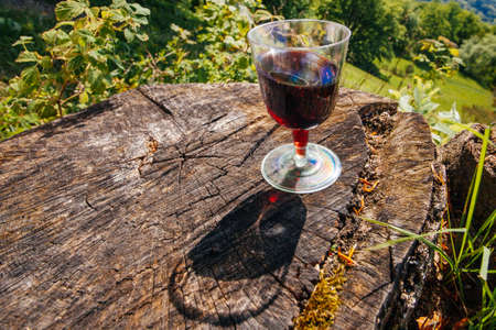 Two glasses of red wine on picnic, nature viewの写真素材