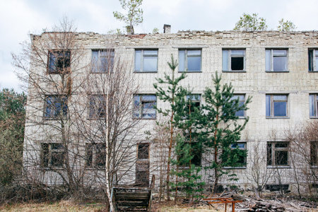 An abandoned building overgrown with trees in Pripyat, the Chernobyl zoneの写真素材