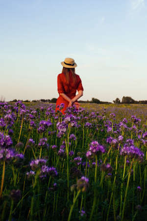 Beautiful young woman in violet phacelia flowers field in sunset timaの写真素材