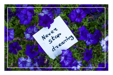 The note with text never stop dreaming in petunia flowers