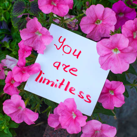 Texture of thepink petunia flowers with paper and note you are limitless