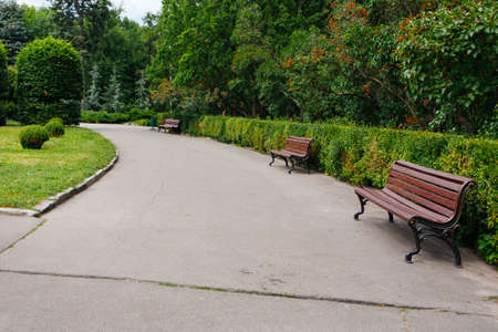 Beautiful old bench in batanical garden park in summerの写真素材