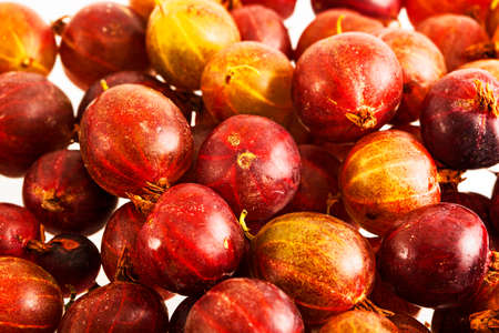 Fresh gerden gooseberry berries backgroundの写真素材