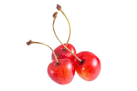 Fresh summer ripe yellow with red sweet cherry isolated