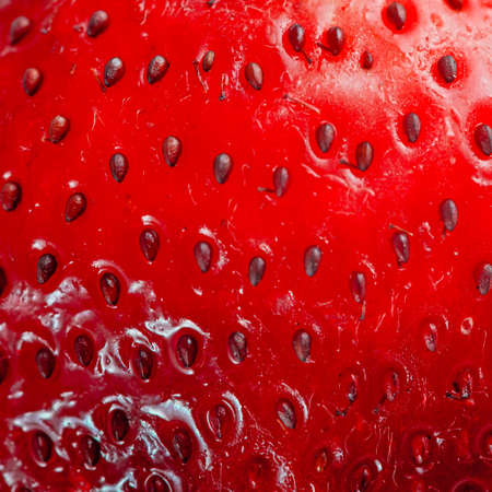 Bright red juicy strawberry closeup backgroundの写真素材