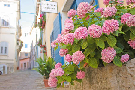 Small town Motovun in Croatiaの写真素材