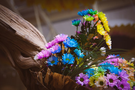 Beautiful colorful flowersの写真素材