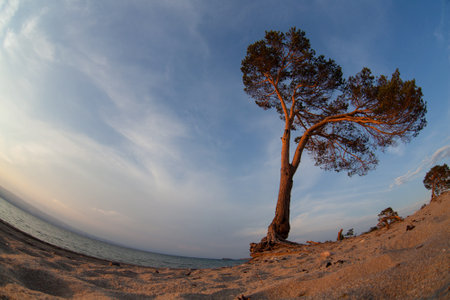 Baikal lake. Summer sunset on olkhon islandの写真素材