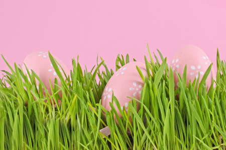 egg easter in a grass on lilac background