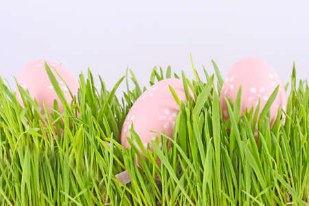 egg easter in a grass Isolated on white