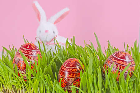 egg easter in a grass on lilac background