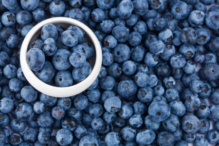Fresh blueberries in small teapot on berries background, top viewの写真素材
