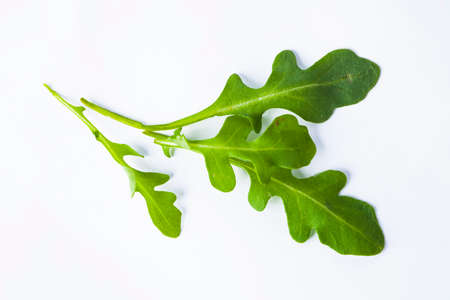 Fresh green atugula (rukkola) leaves iisolatedの写真素材