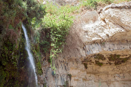 Waterfalls and rocks in Ein Gedi oasis national park, Israel