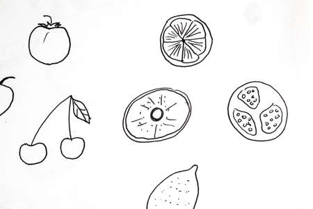 Lots of pen  graphic drawing of different fruits , black on whiteの写真素材