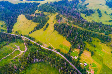 Forests, meadows  and hills of the Carpathian mountains taken with drone, Ukraineの写真素材