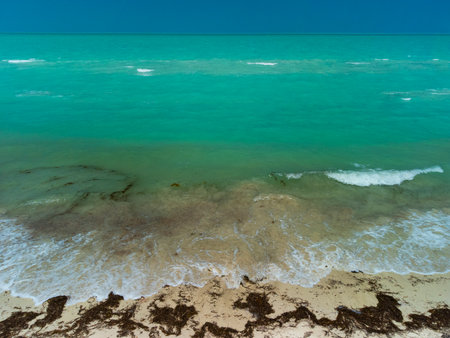Beautiful ocean in Las Coloradas, Mexicoの写真素材